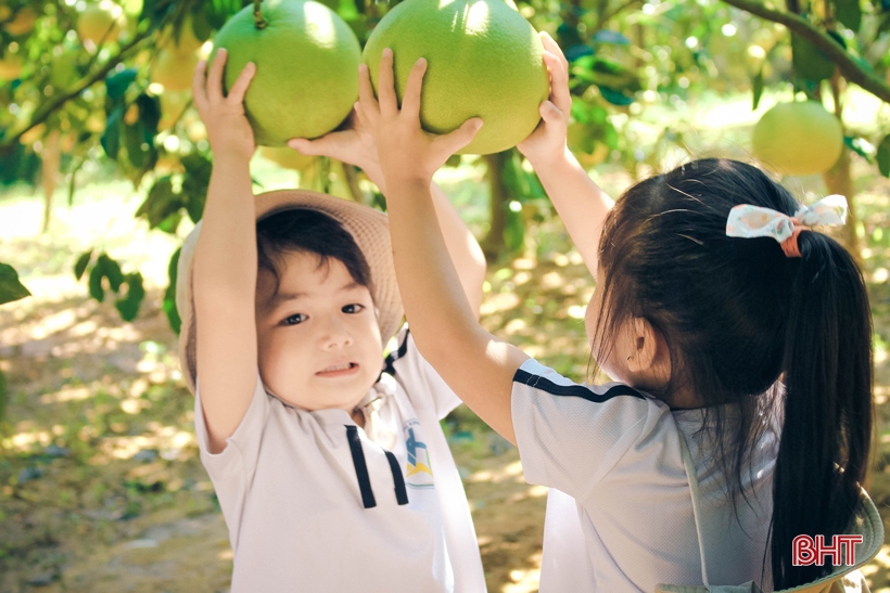 Mầm non quốc tế Trung Kiên